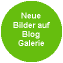 Ellipse: Neue Bilder auf BlogGalerie